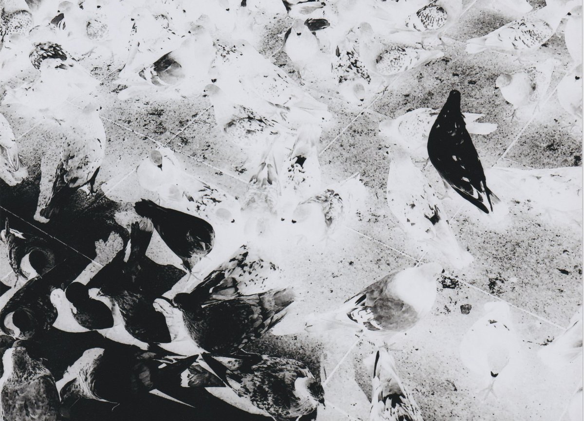 Photo Print by Alexander Chernavskiy from "Made by X" Collection