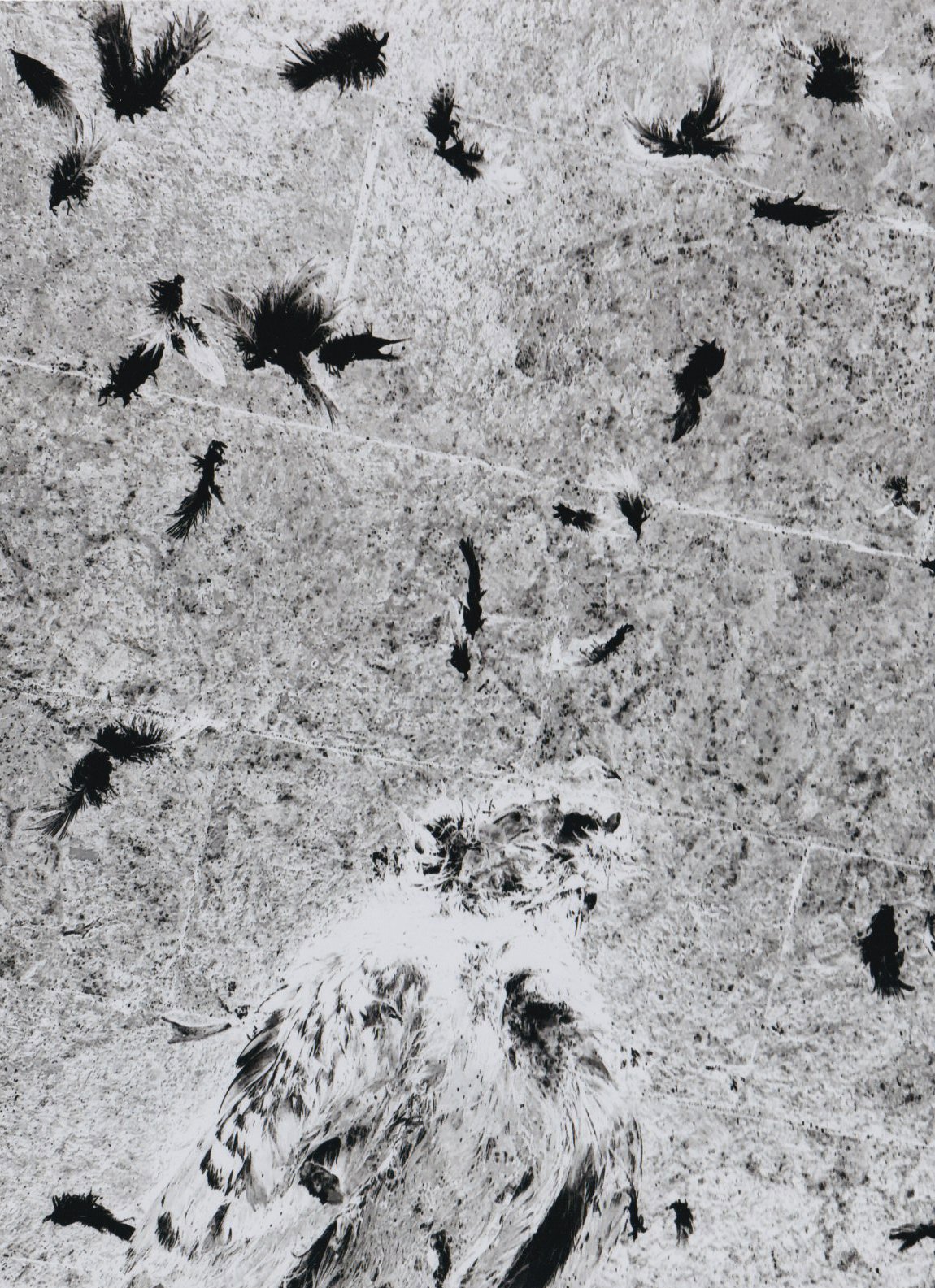 Photo Print by Alexander Chernavskiy from "Made by X" Collection