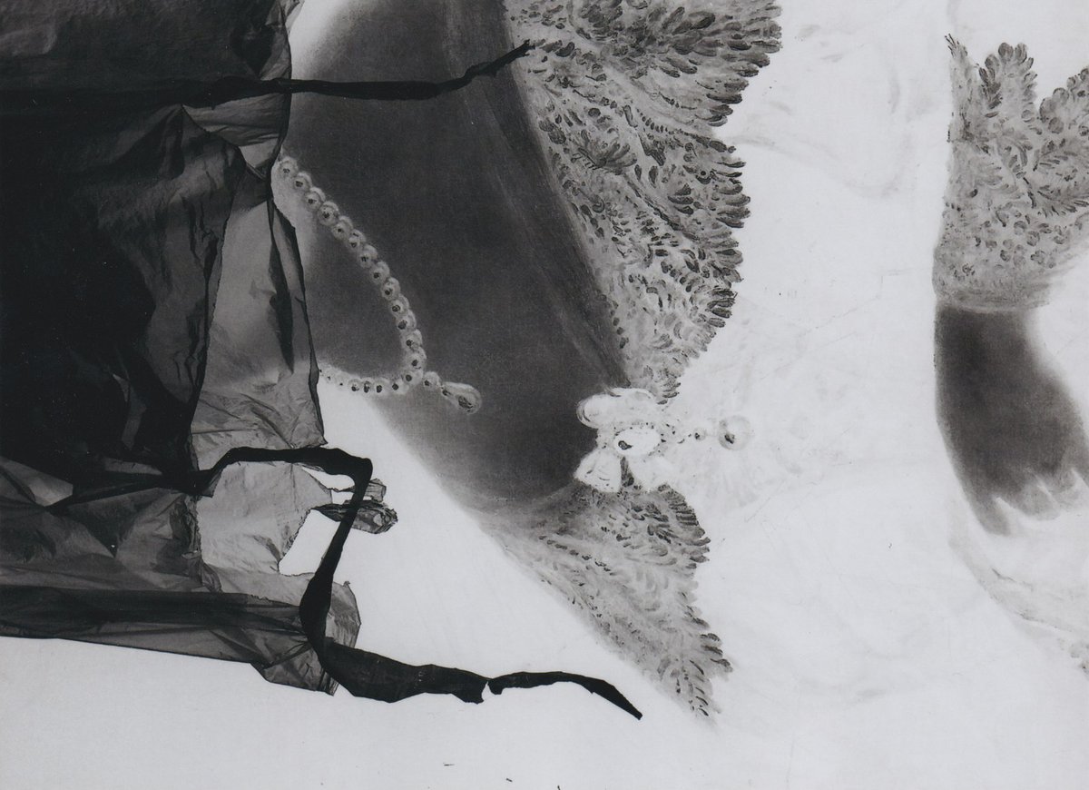 Photo Print by Alexander Chernavskiy from "Made by X" Collection