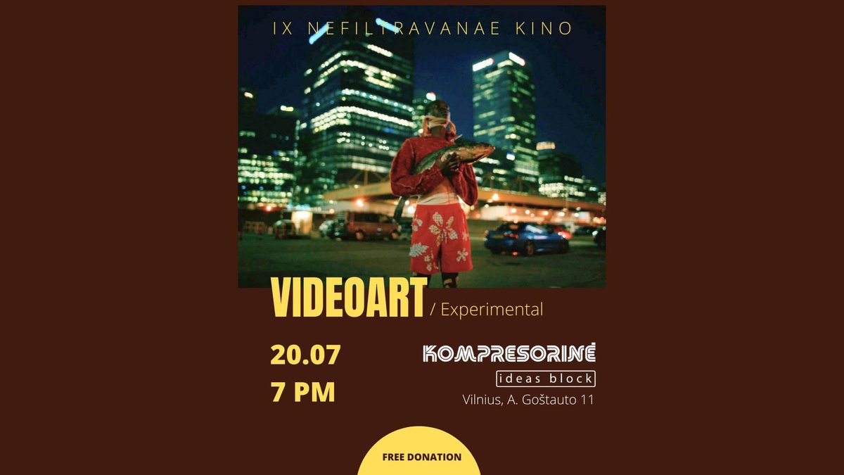 Video art / Experimental program of the IX Nefiltravanae Kino