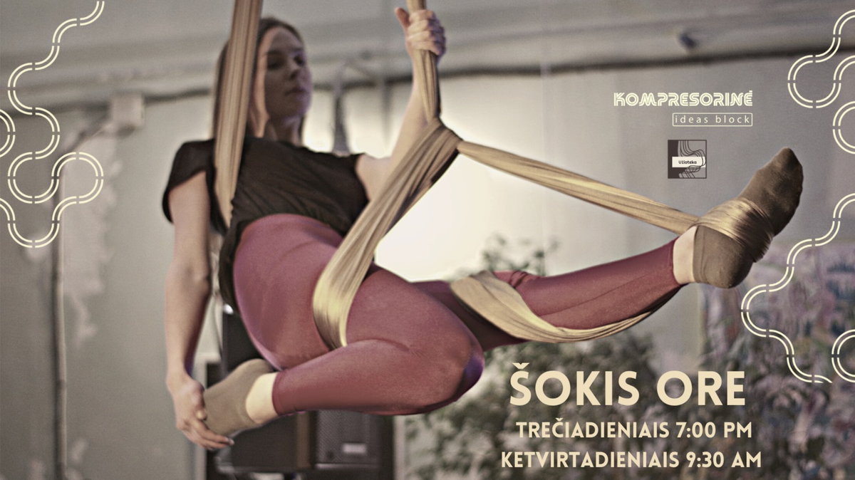 Oro šokių dirbtuvės | Aerial dance workshop