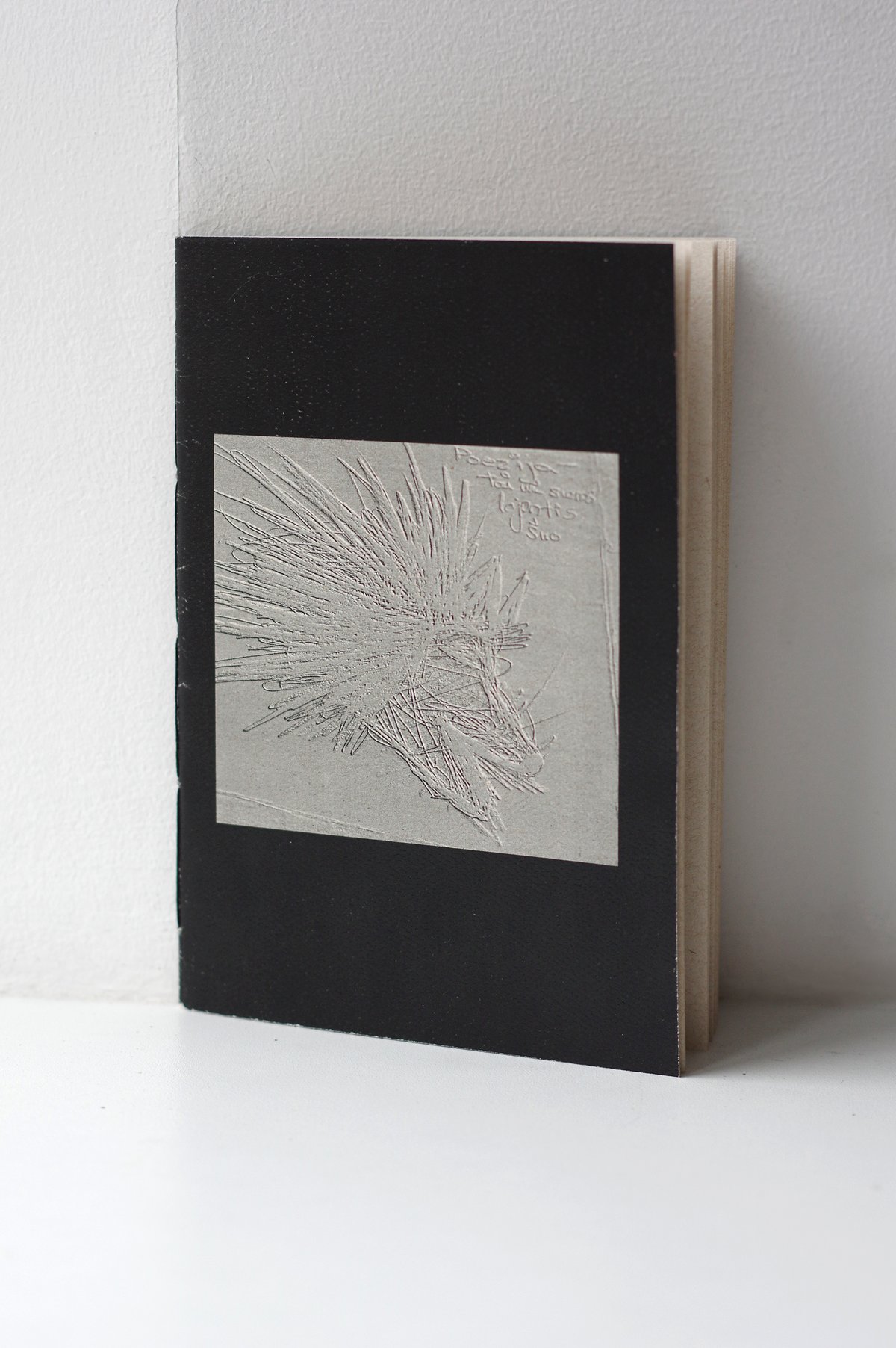 "Poezija - tai tik už sienos lojantis šuo" - Poetry Book [LT]