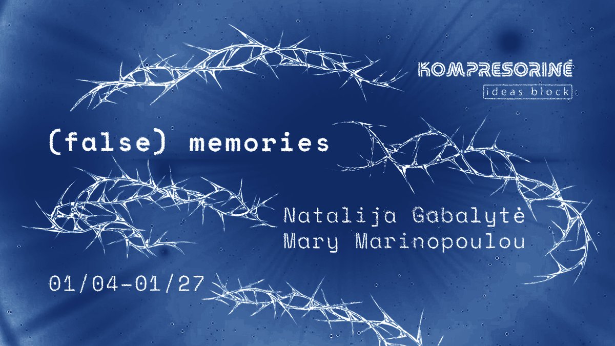 (false) memories - parodos atidarymas | exhibition opening