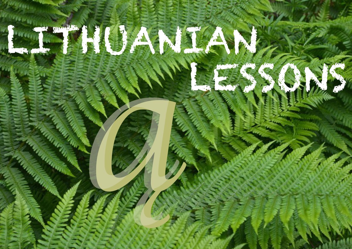 Lithuanian course