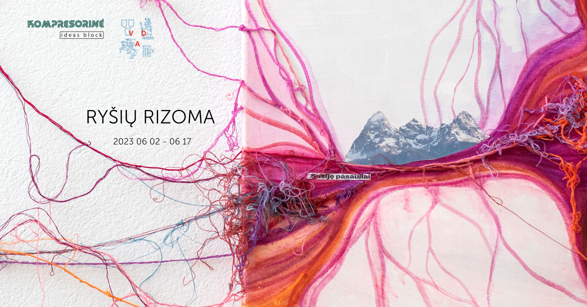 Rhizome of connections exhibition